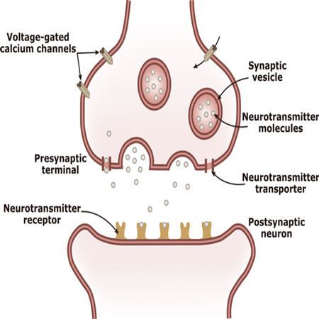 Disodium uridine 5'-phosphate qw Disodium uridine 5'-phosphate qw
