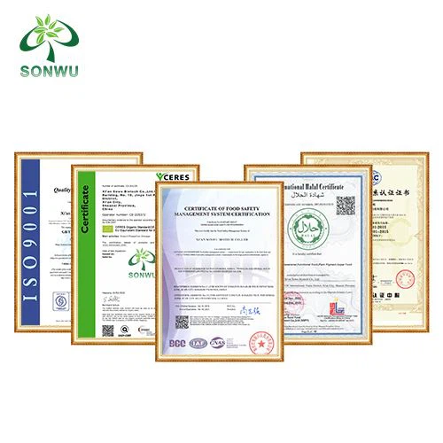 WS-23 Powder certificate