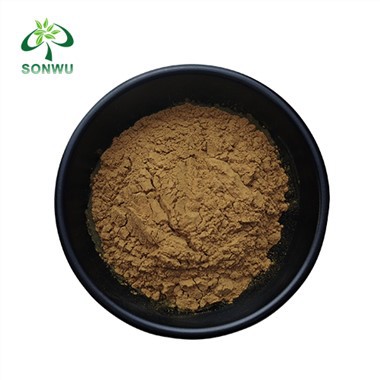 Ecdysterone w proszku