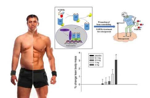 What Is MK 2866 Good For What Is MK 2866 Good For
